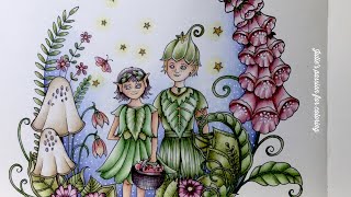 IVY AND THE INKY BUTTERFLY by Johanna Basford - prismacolor pencils - color along Net Worth