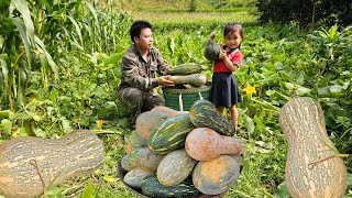 Harvesting pumpkin garden and bring it to the market sell - Cooking