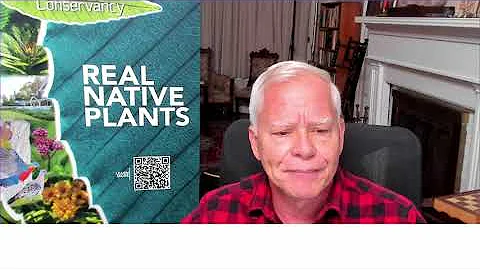 English Ivy -- An Invasive Plant That Kills Trees and Spreads Disease