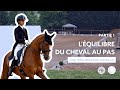 Seaver x ibr dressage  sance 1  le travail de lquilibre par la tonicit des postrieurs