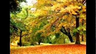 Leaf Removal, Pickup and Mowing near Green OH 44685 | Alpine Landscaping