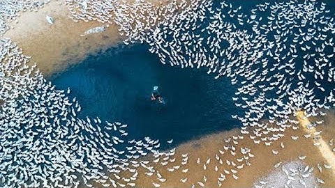 No One Had to See THIS! Drone Captures What No One Was Supposed To See