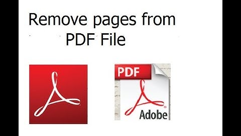 Removing or Deleting Pages from a PDF Document (FREE)  PDF File