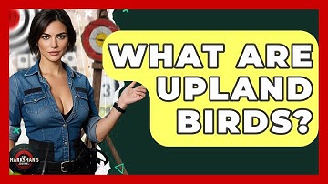 What Are Upland Birds? - The Marksman