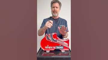 One simple maneuver that can literally “elevate” your hyper-angulated video laryngoscopy technique.