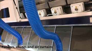 AMVT Color Sorter   sorting dehulled oats with True Color and NIR sorter