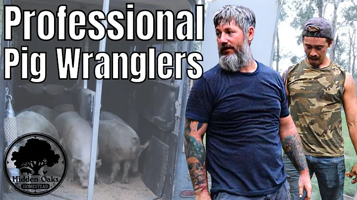 The MOST POWERFUL animal on our farm | HOW TO NOT load pigs in a livestock trailer