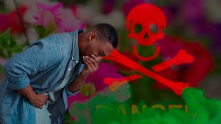 10 most dangerous flowers on earth! 10 Beautiful Flowers That Are Highly Dangerous