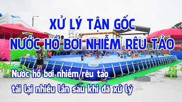 Xử lý tận gốc nước hồ bơi nhiễm rêu tảo