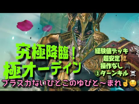 【メビウスFF】極オーディン 究極降臨　ソロチ 経験値デッキ 操作なし 3ターンキル MobiusFF
