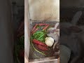Rabbits Eating Vegetables#rabbit #youtube #shortvideo #shorts
