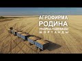 Уборка пшеницы. ТОО Агрофирма &quot;Родина&quot; (Шортанды-2021)