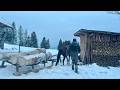 LONG VIDEO Heat In The House Obtained By Hard Work Life In The Carpathians In Winter LONG VIDEO Heat In The House Obtained By Hard Work Life In The Carpathians In Winter
