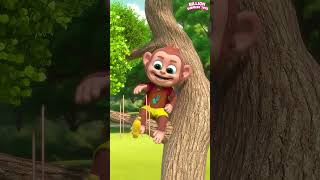 #MonkeyMischief #WildRide #BabyZayAdventure #PreschoolCartoon #FunForToddlers