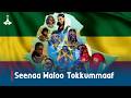 Seenaa Waloo Tokkummaaf Etv Ebc Etv Afaan Oromoo