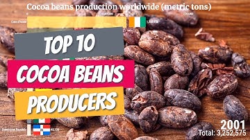 Top 10 Largest Cocoa Beans Producer Countries In The World