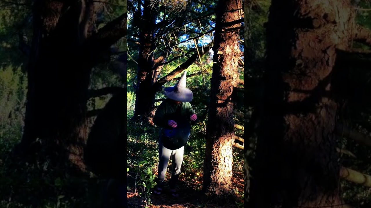SideQuest #7 One-off recordings from the edges of the wild (HangBal + Synth + Nature)