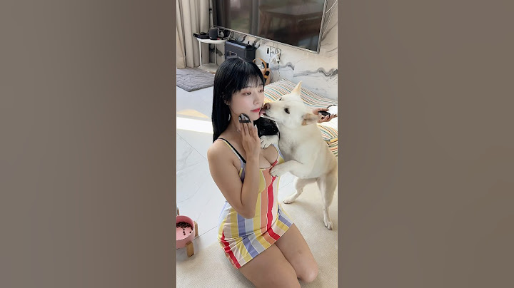When Your Dog Is Too Attached!