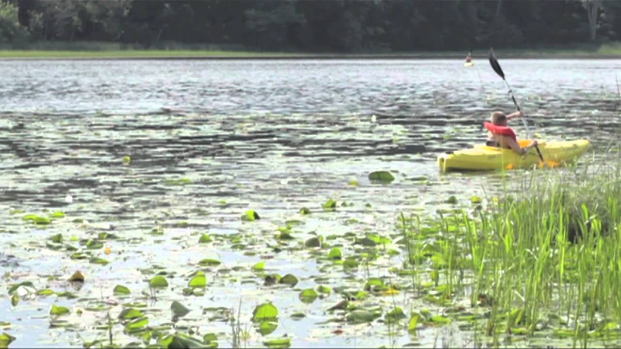 Camp Quest, Minnesota (Fundraiser Version) YouTube