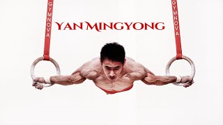 Yan Mingyong - Hydraulic Pressing