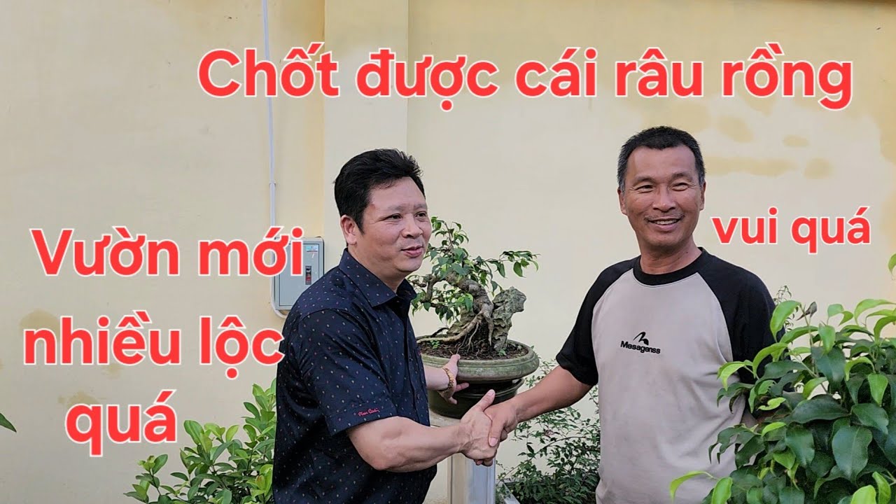Đi tìm mấy tháng rồi giờ mới mua được cái râu Rồng ưng ý - YouTube