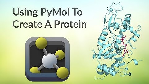How To Use PyMol To Make A Protein