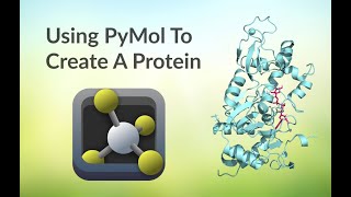How To Use PyMol To Make A Protein Profile