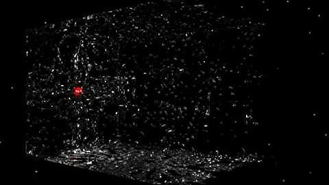 Blender Zero G Fluid Test