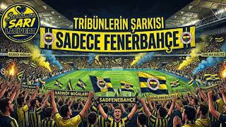 Tribünlerin Şarkısı Sadece Fenerbahçe