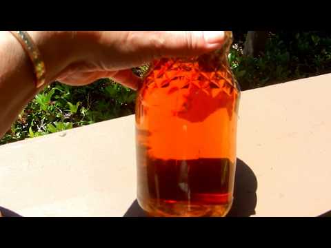 Sun Tea! How to Make the Best Delicious Sweet Smooth Sun Tea!