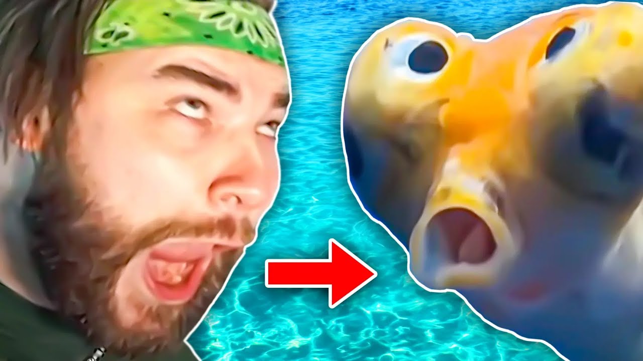 THE DUMBEST FISH IN THE WORLD!! | KingWoolz vs DAILY DOSE OF INTERNET