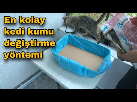 Video: Kedi Kumu Nasıl Değiştirilir
