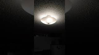 VID 20201127 204429