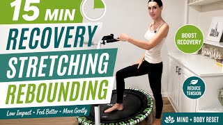 15 MIN Recovery Stretching Rebounding Workout | Low Impact Full Body Reset