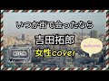 いつか街で会ったなら 吉田拓郎 女性カバー   