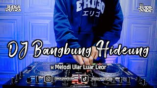 DJ BANGBUNG HIDEUNG | BOOTLEG REMIX 2023 TERBARU