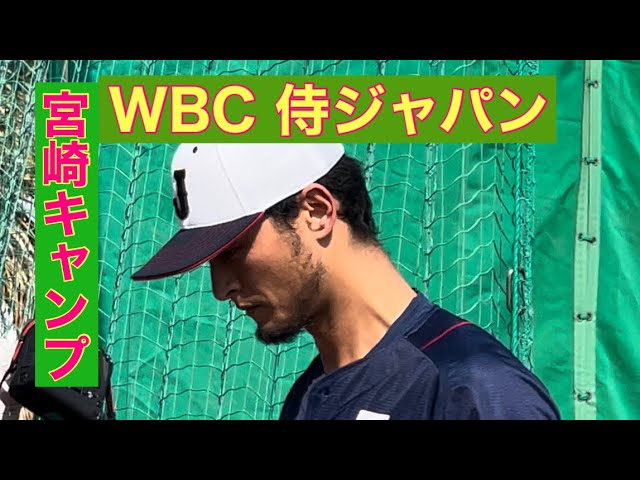 2023年WBC【侍ジャパン】宮崎キャンプ（目の前にダルビッシュが）