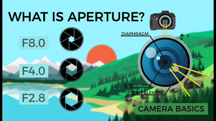 Camera Basics - Aperture - DayDayNews