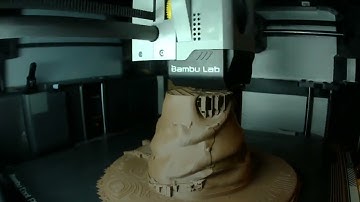 Harry Potter Sorting Hat Tree topper 3d print