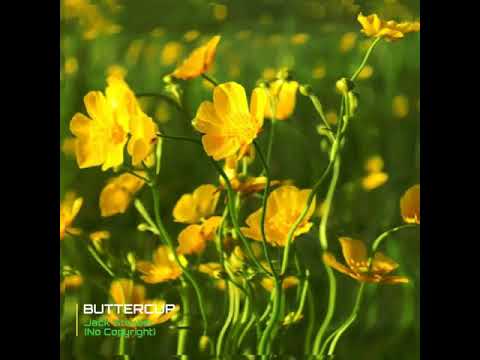 [-no-copyright-instrumental-music-]-meme-song-2019---buttercup