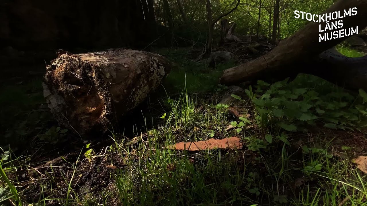 Skeviksgrottan, Värmdö kommun