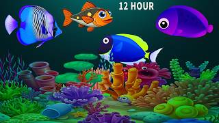 Baby Sleep Music 🐟 Mozart &amp; Brahms Lullaby ✨ Gentle Sleep Music for Babies 💤  Tiny Lullaby #255