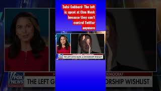 Tulsi Gabbard: Twitter is no longer a propaganda arm #shorts