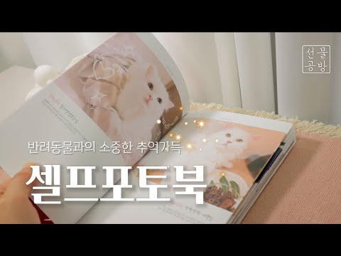 반려동물과의 추억앨범! 포토북 만들기 PowerPoint Photobook (PPT도안 다운로드)