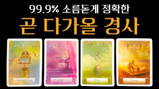 [타로] 곧 다가올 경사, 미리 축하드려요