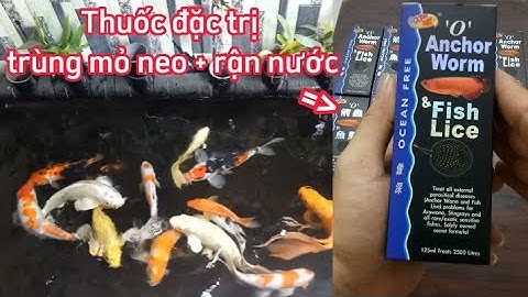 Thuốc Đặc Trị Trùng Mỏ Neo + Rận Nước Cho Cá Koi,Cá Rồng Cực Kỳ Hiệu Quả.
