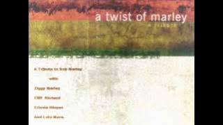 Lee Ritenour & Dave Grusin - Get Up Stand Up