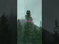 Nostalgia Flashback 80smusic Music Lake Sceniclandscapes Musicgenre Nature Scenicjourney 