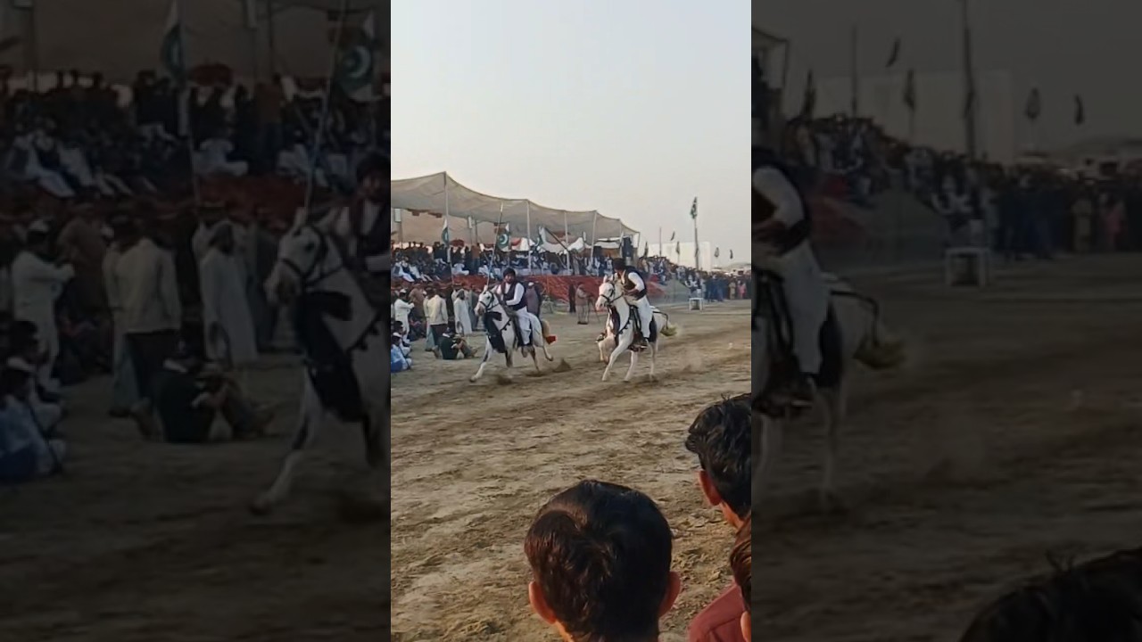 Neza Bazi in 10th thal jeep rally at choubra layyah #horseriding #shortvideo #10thaljeeprally