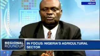 Setbacks in Nigerias Agricultural Sector